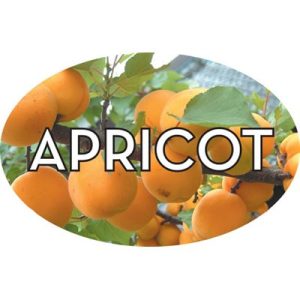 Apricot Labels